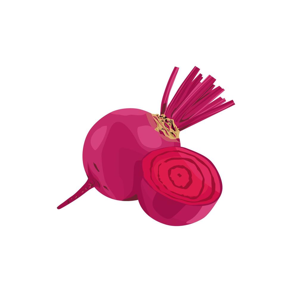 Isolated Beetroot vector design on White Background