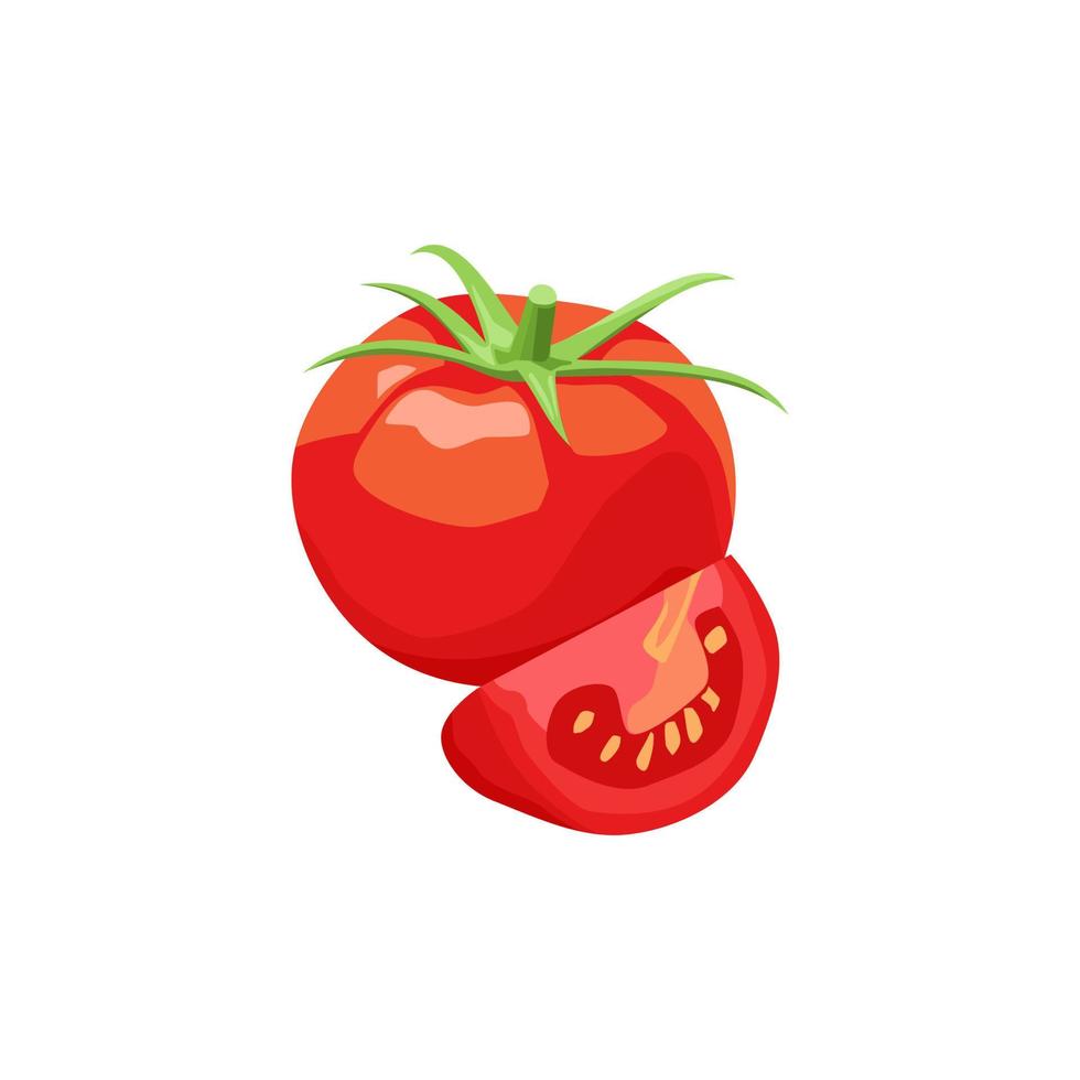 Fresh vegetable Tomato isolated vector white background