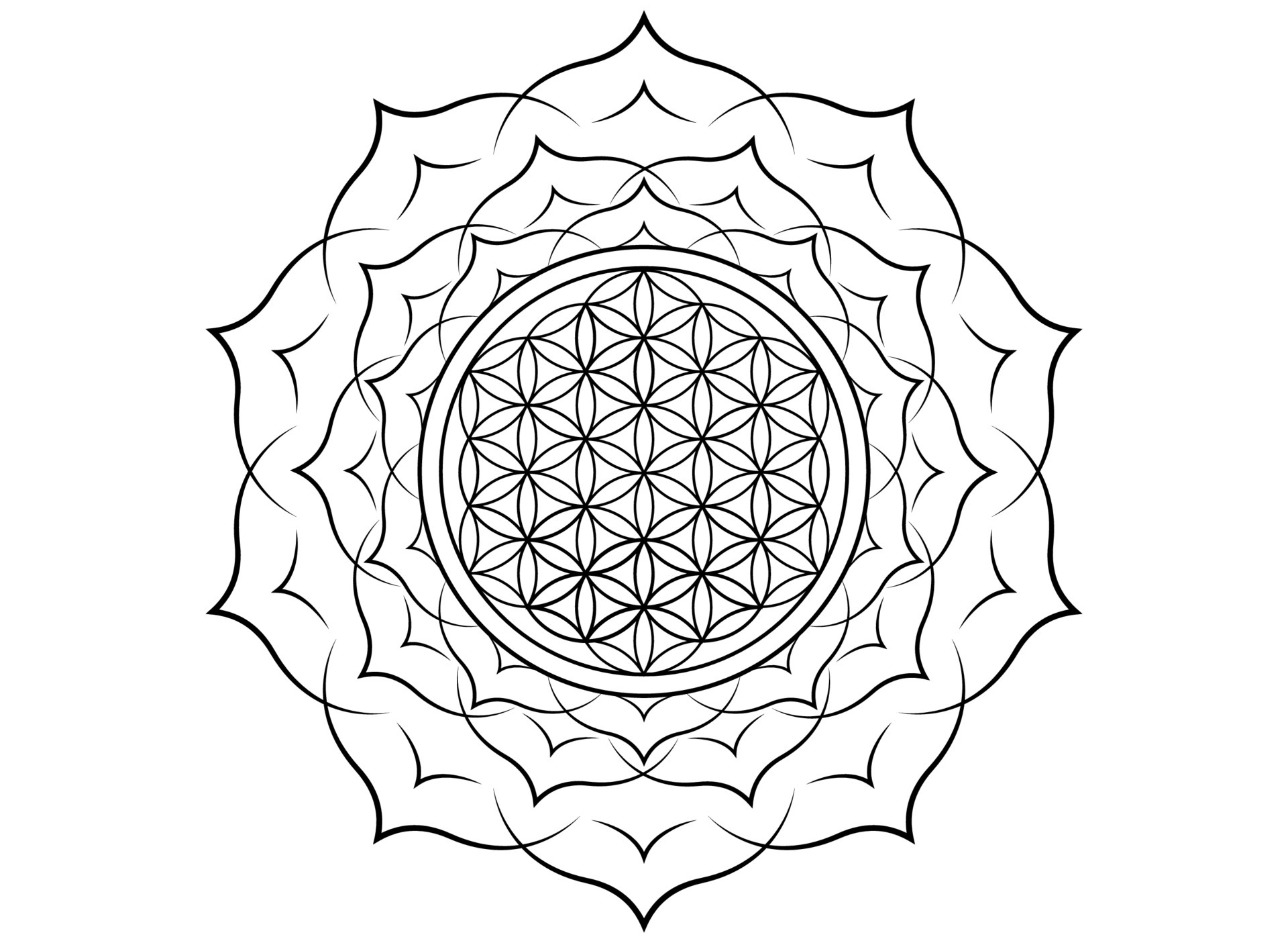 Aggregate 99 about flower of life mandala tattoo meaning unmissable   indaotaonec