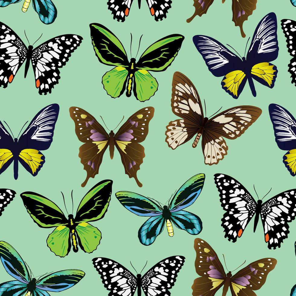 Patrones de varios tipos y colores de mariposas. vector