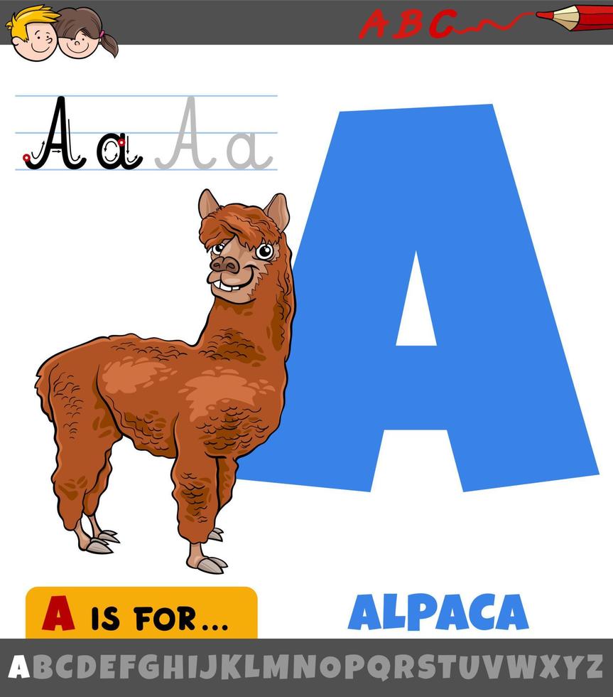 La letra a del alfabeto con dibujos animados de animales de alpaca vector