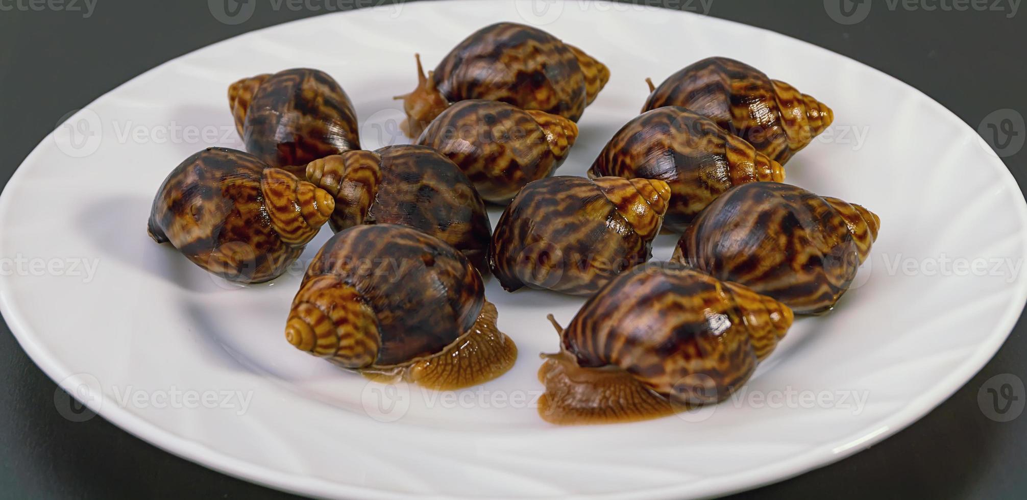 grape snails, akhatina, on a plate, as crude food, a rawism photo