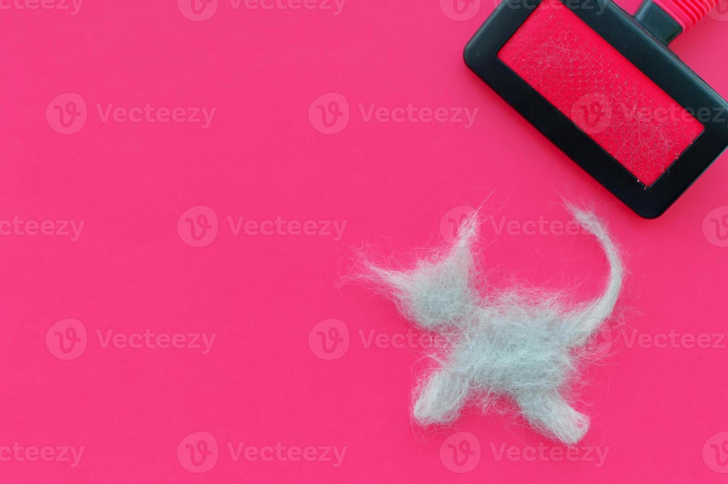 A comb after grooming a cat and a piece of cat hair in the shape of a cat on a pink background. The view from the top. photo