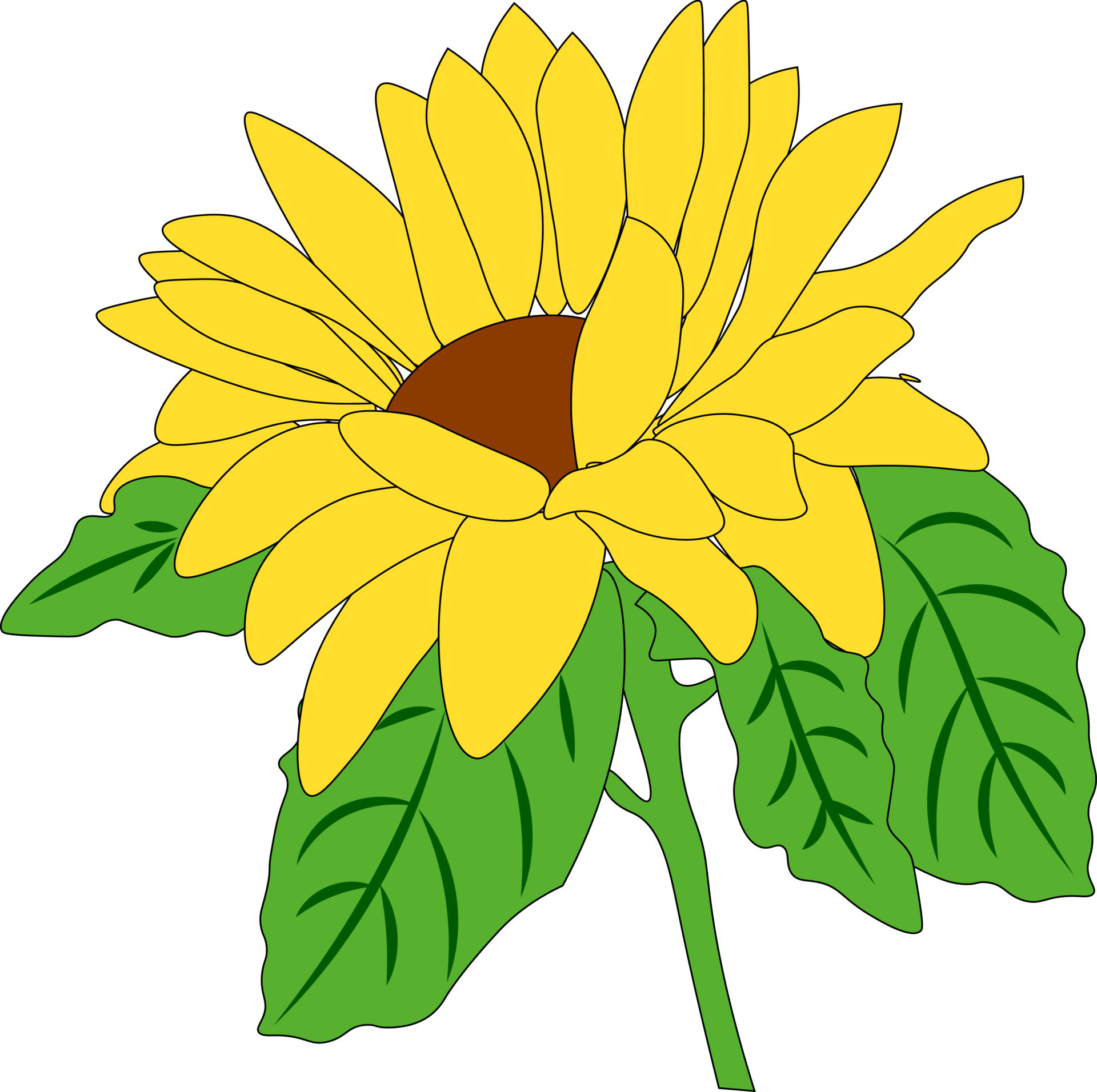 yellow sunflower clipart outline