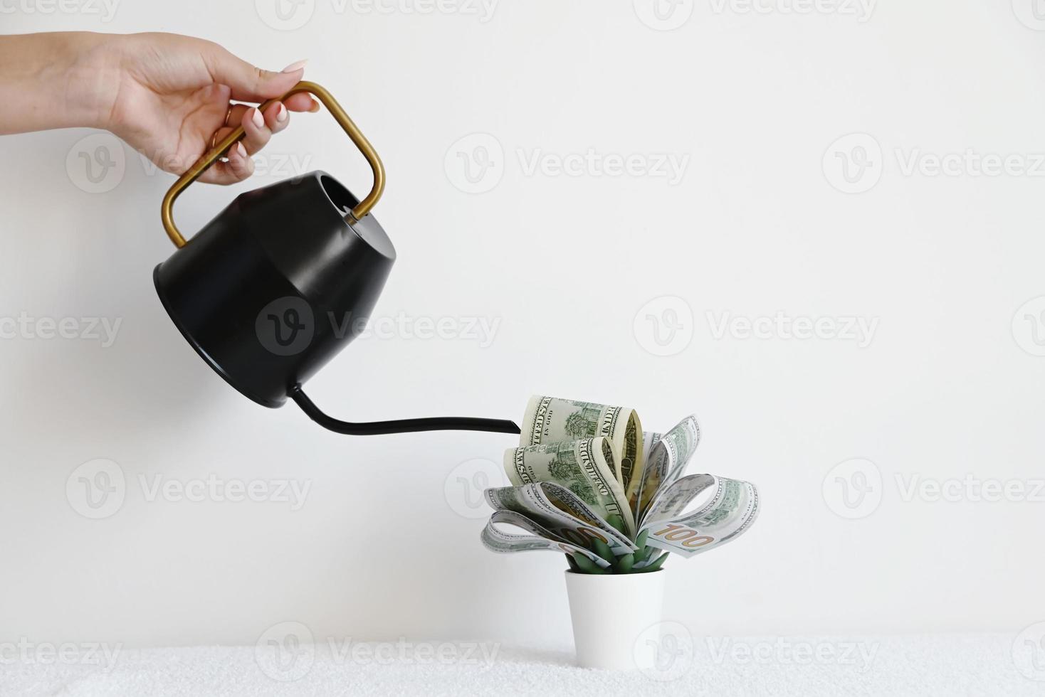 A hand is watering a flower from a watering can made of dollars in a pot on a white background. The concept of profitable investments and investments. photo