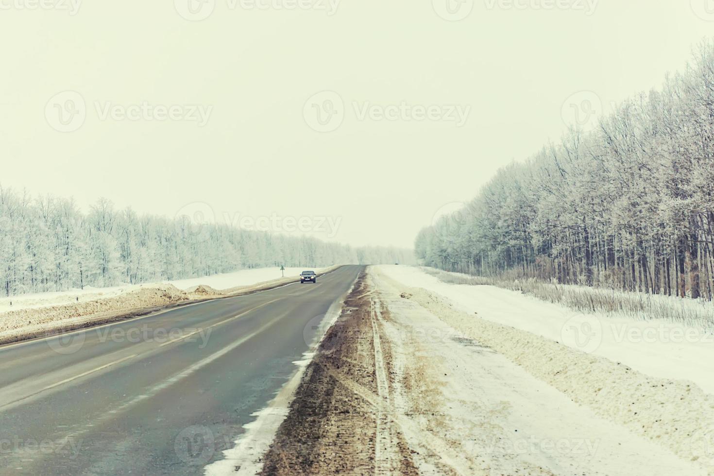 the winter forest near the road, during daylight hours photo