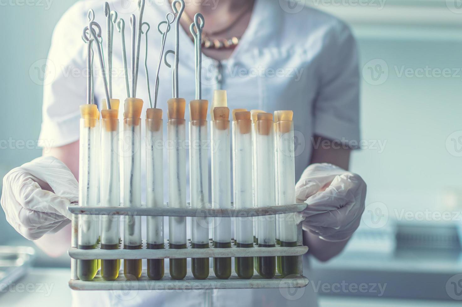 hands with test tubes in the lab photo