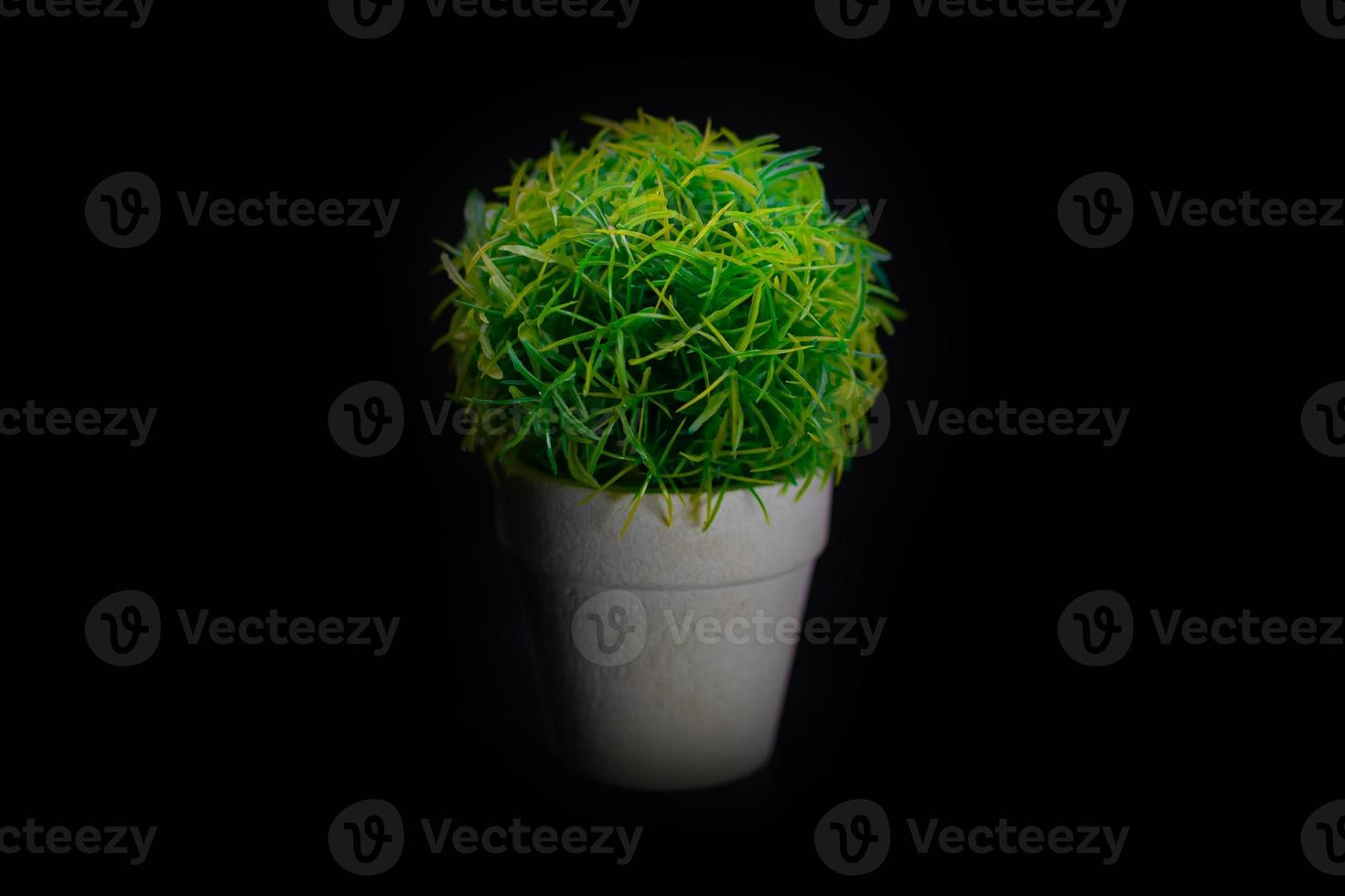 beautiful artificial small flower green on black background side view photo