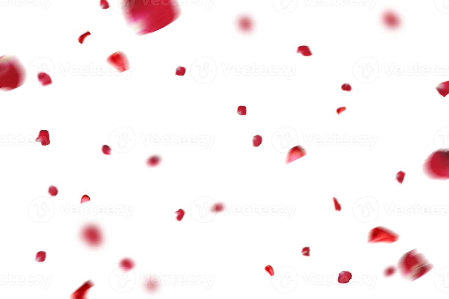 many rose overlay rose flowers and petal valentine background with falling red rose petals is on black photo