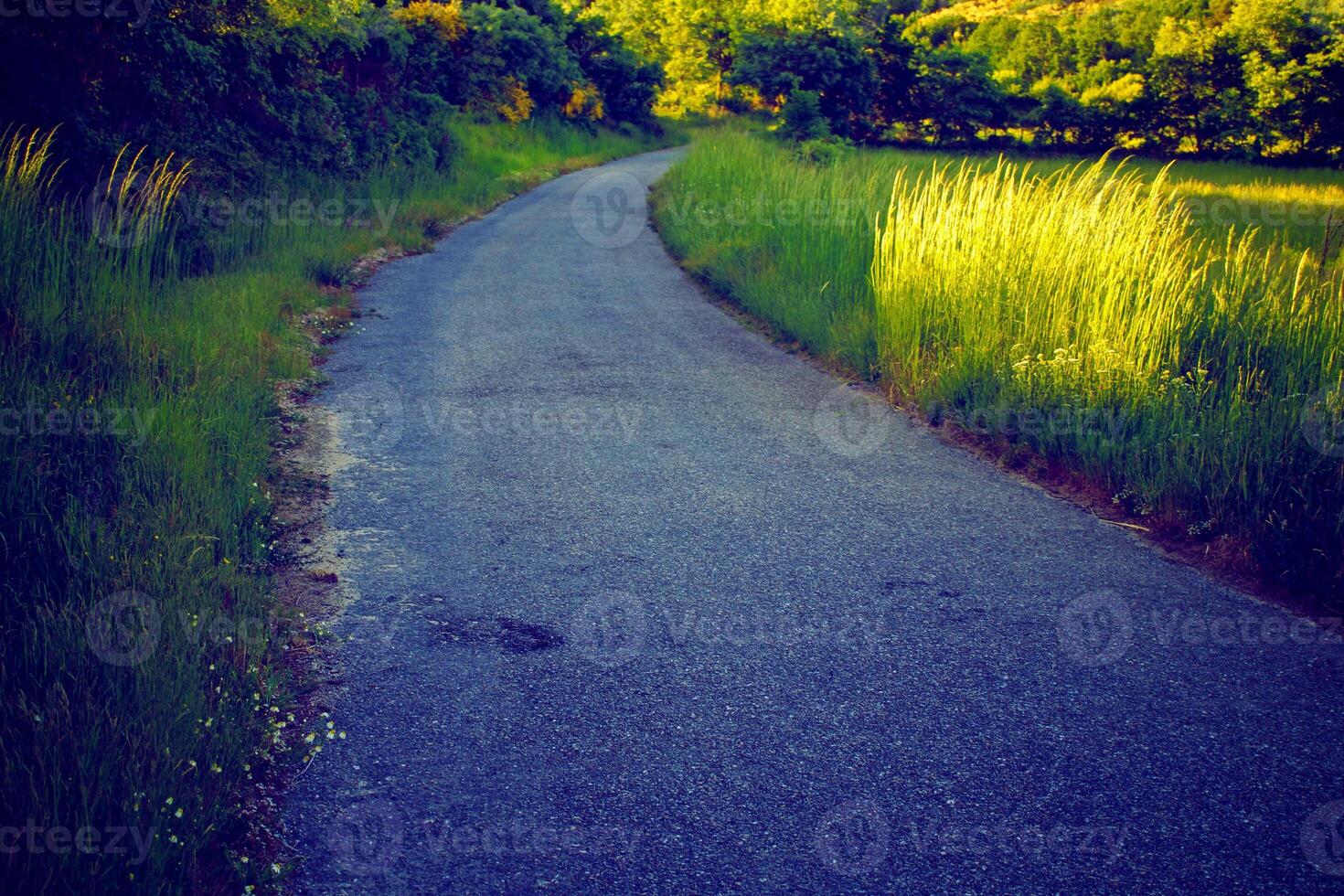 verde en la pista de la carretera hermosa carretera girando en las colinas y carretera de montaña camino de pastizales en la noche en. foto