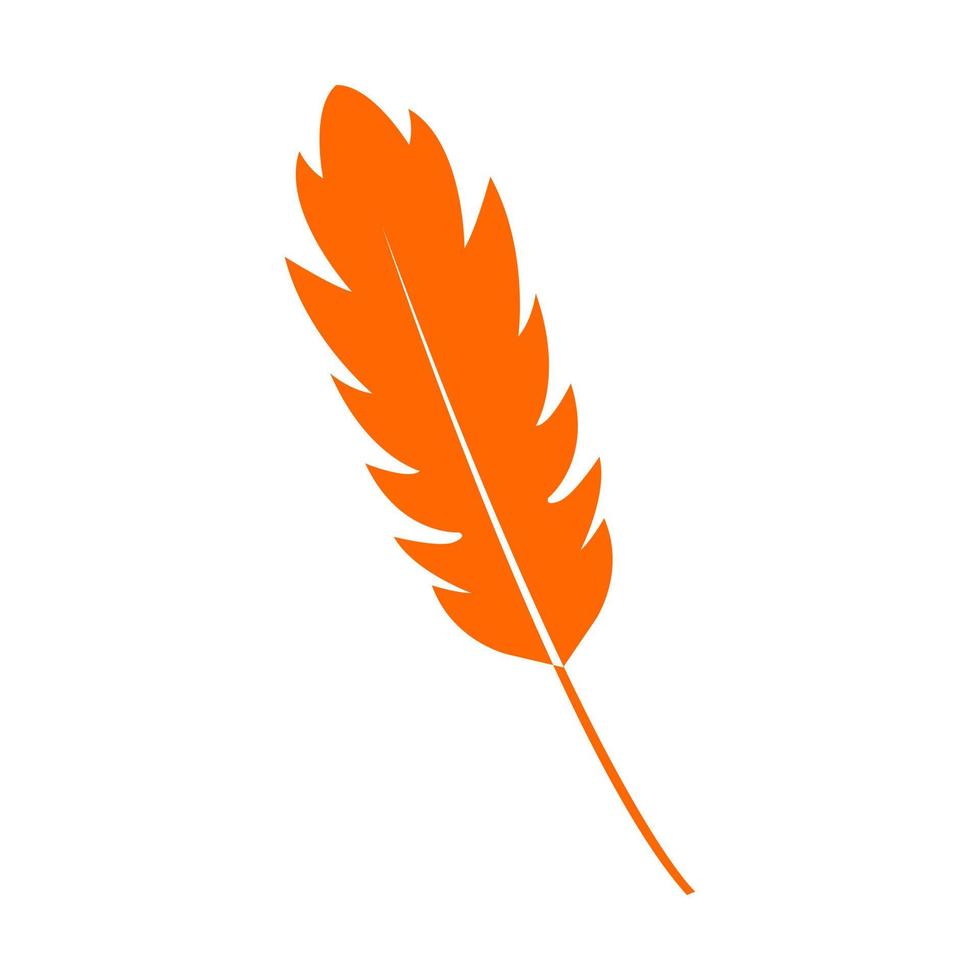 Feather illustrated on a white background vector