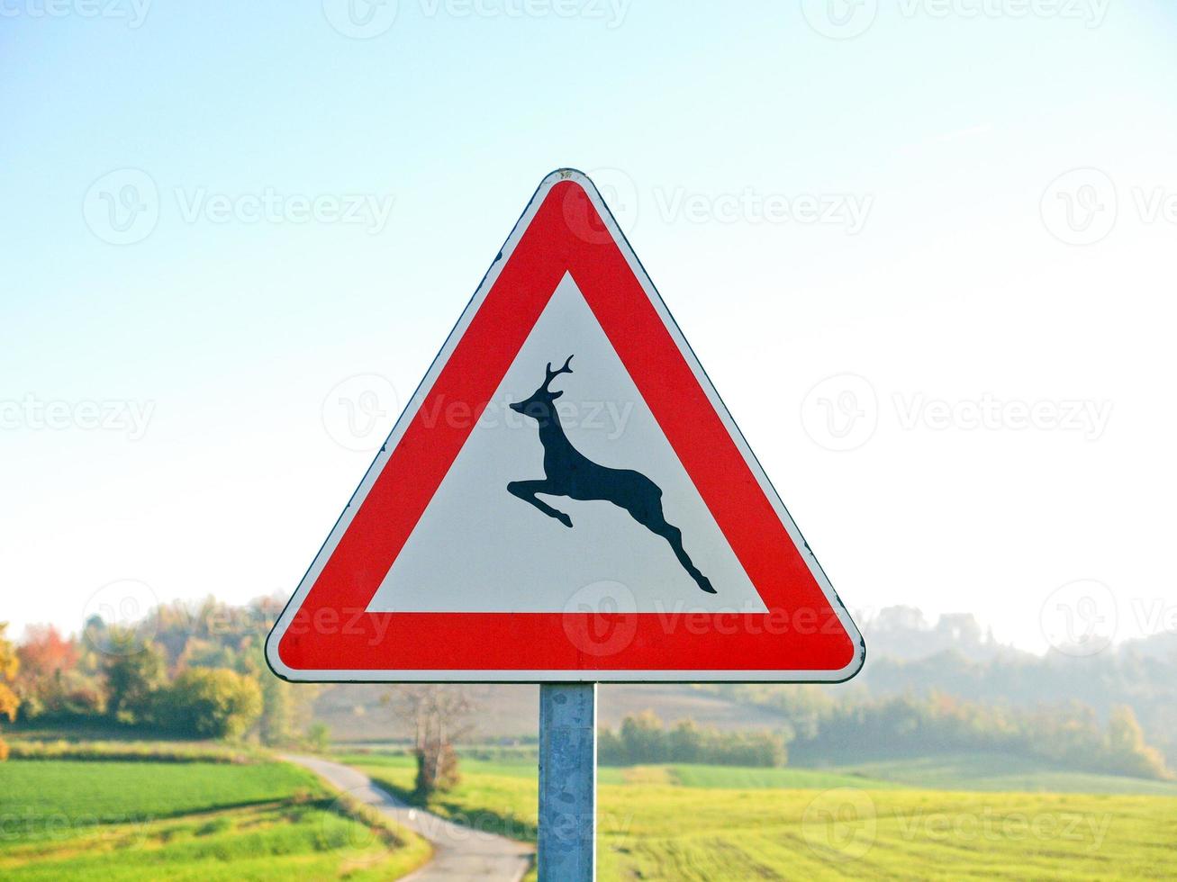 danger wild animals sign photo