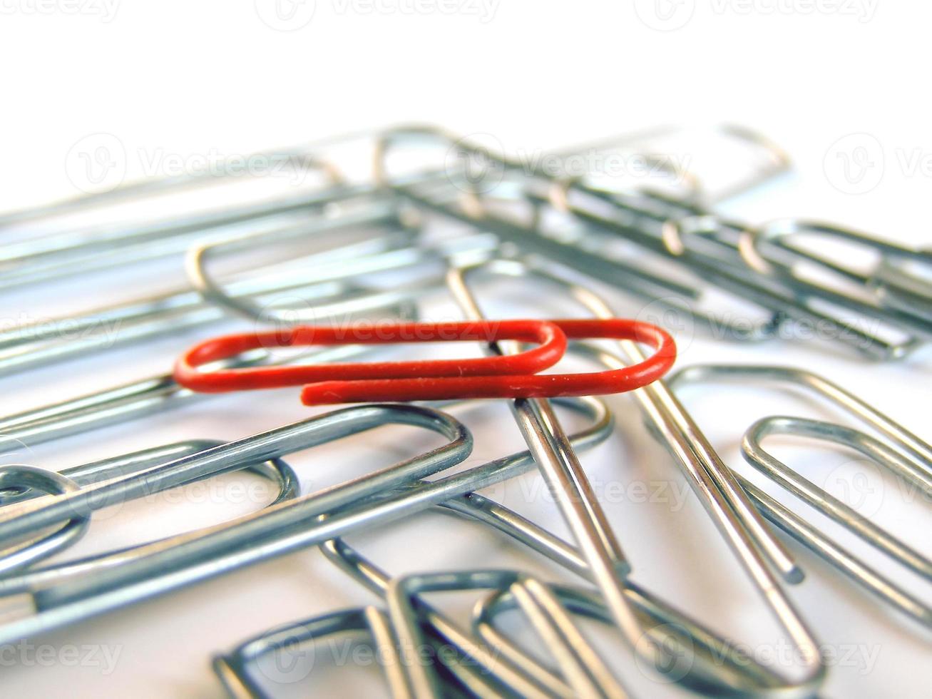 Red clip among silver clips photo