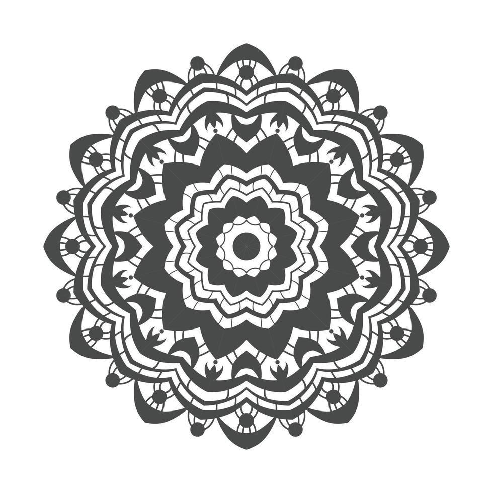 Mandala background in ethnic style vector