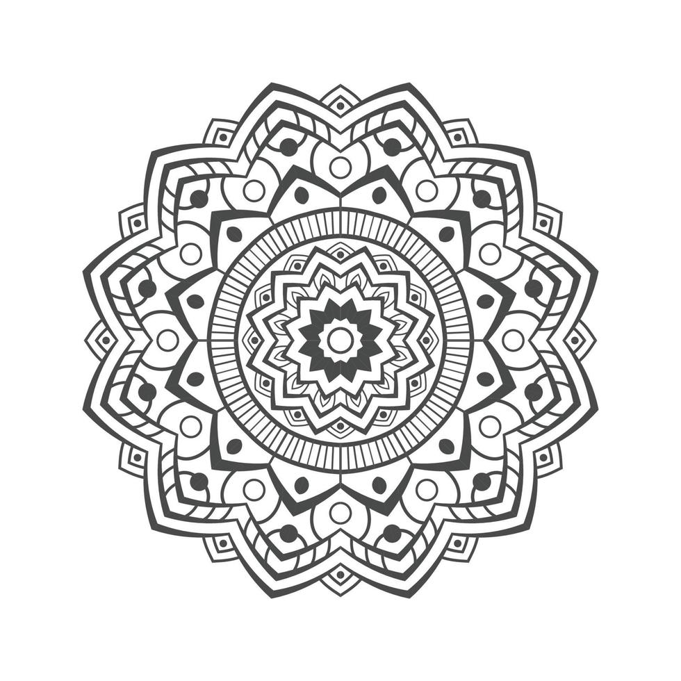 Mandala background in ethnic style vector