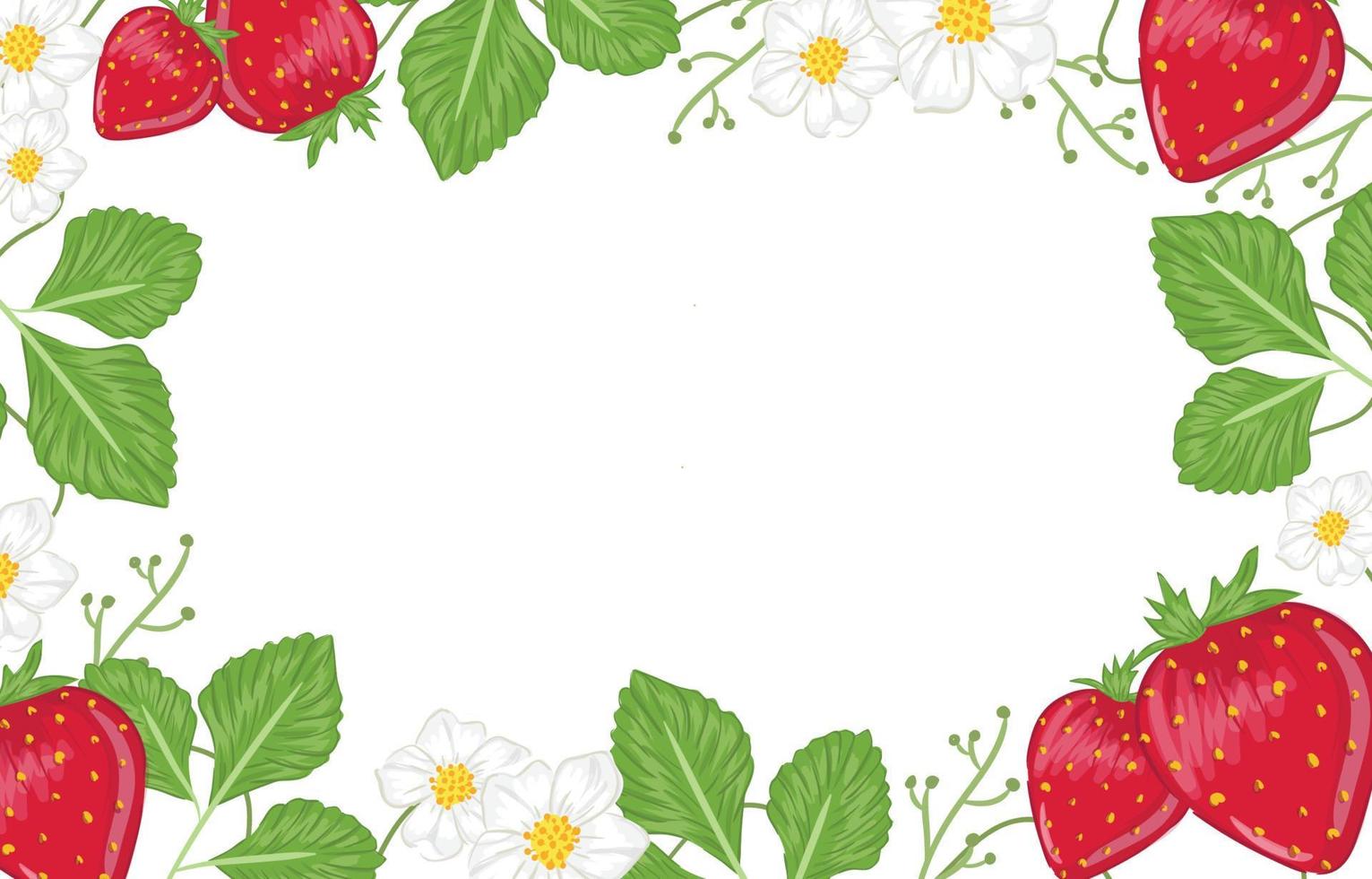 strawberry handdrawn background vector