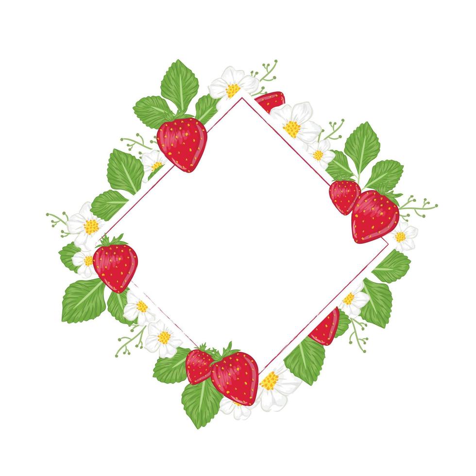 square frame strawberry vector