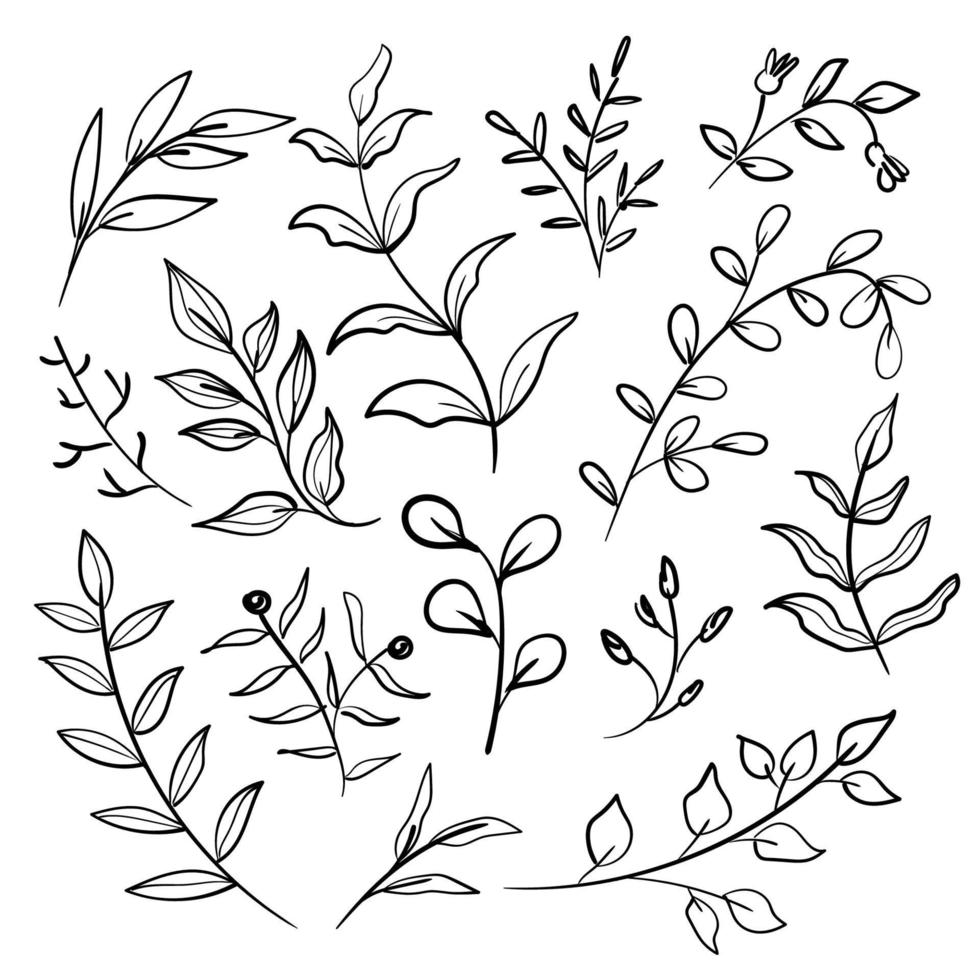 colección de arte de línea de doodle de hojas vector