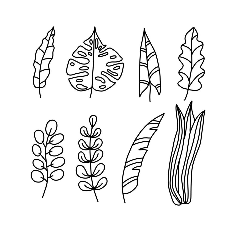 colección de elementos vegetales en estilo doodle. hojas decorativas dibujadas a mano. ramas de los árboles. vector