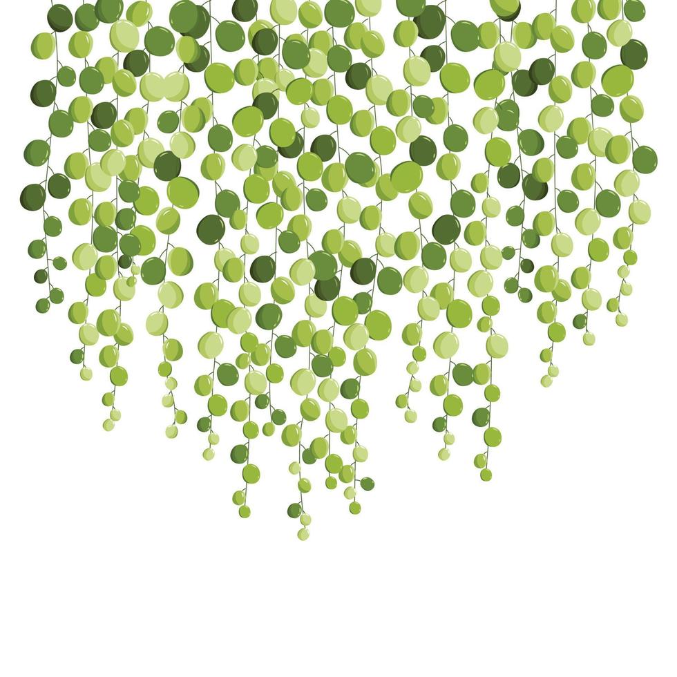 String of pearl beautiful green background vector