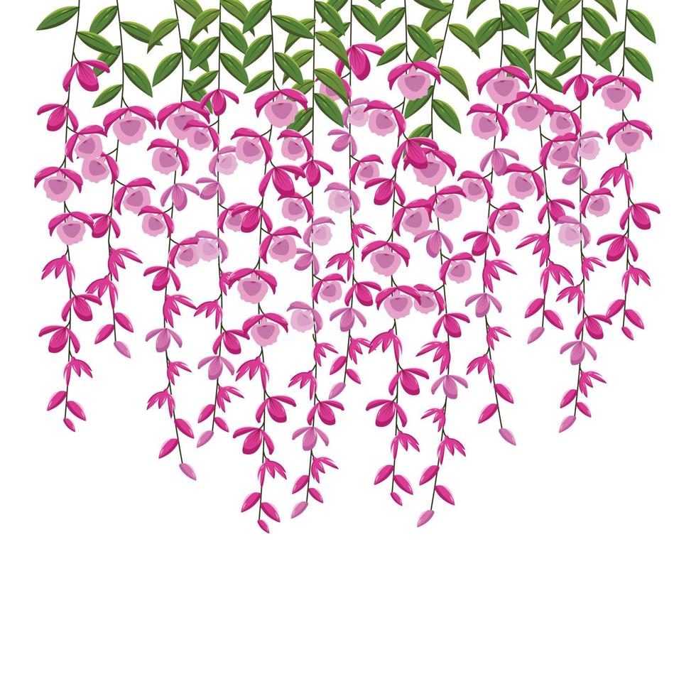 Pink purple orchid beautiful background vector