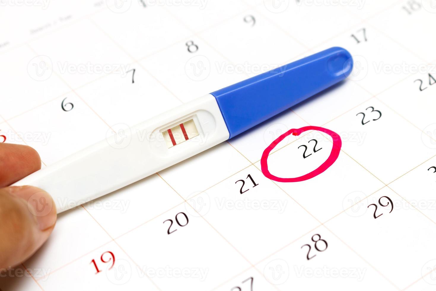 Pregnancy test with positive result lying on calendar photo