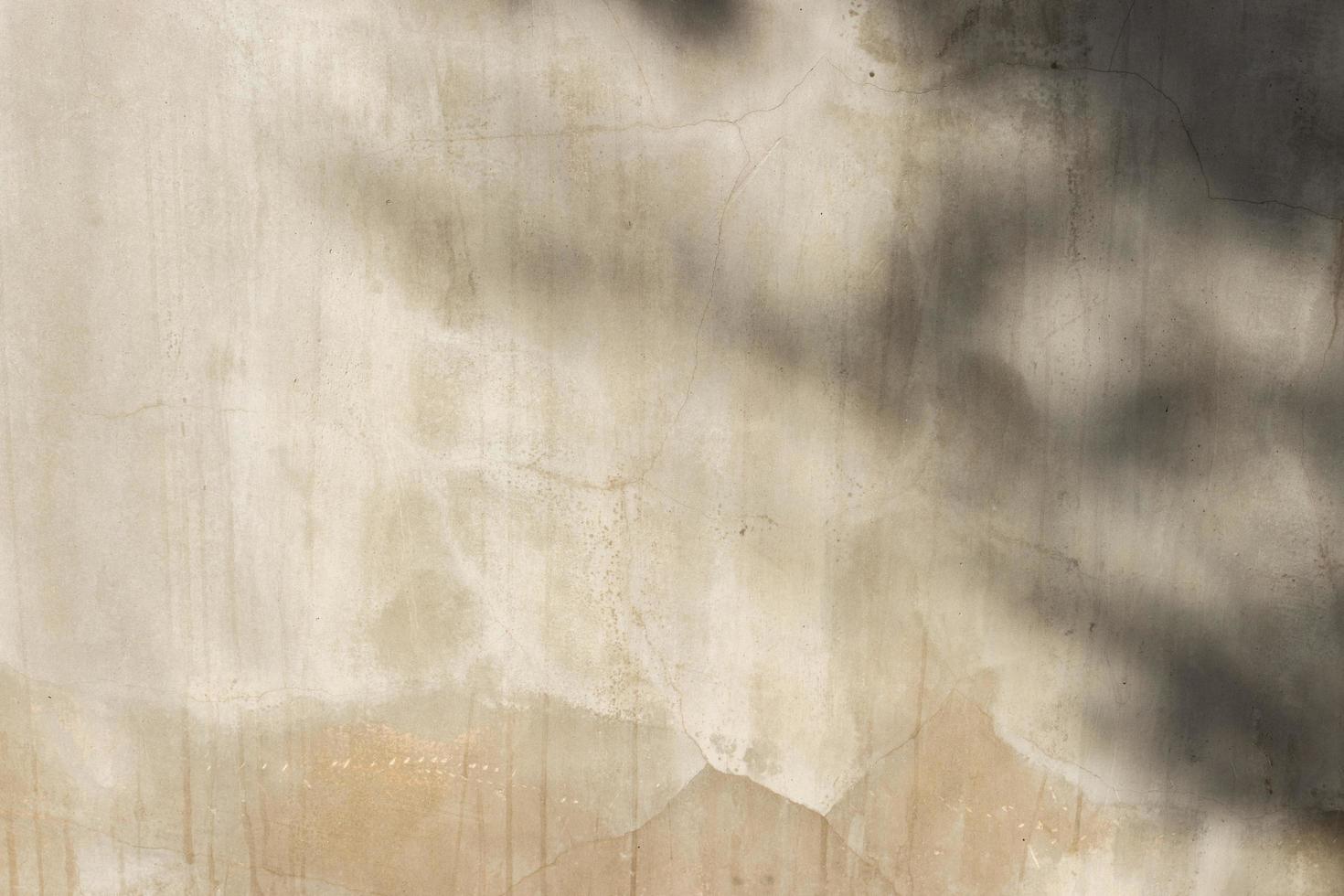 Material de hormigón o cemento y sombra de hojas sobre textura de fondo de pared abstracta. foto