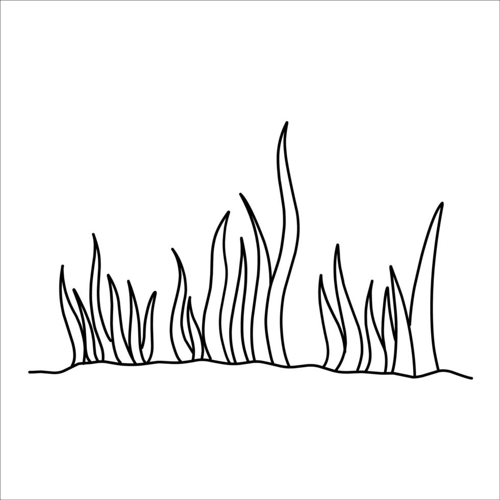 Grass vector silhouette drawing sketch