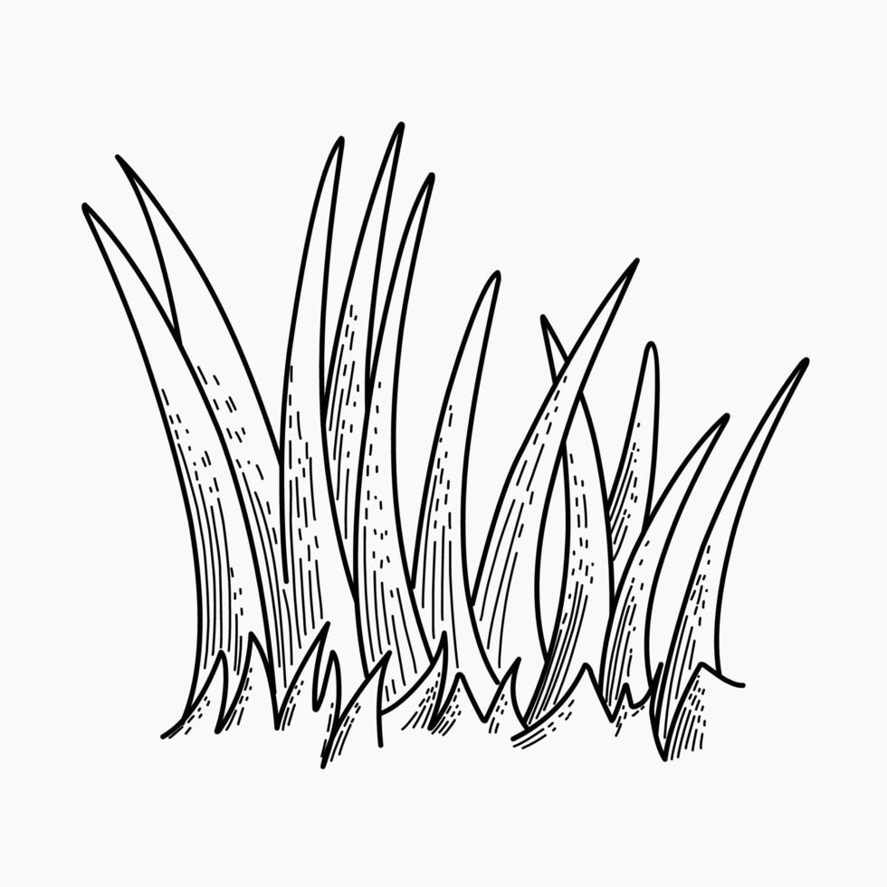 Grass vector silhouette drawing sketch