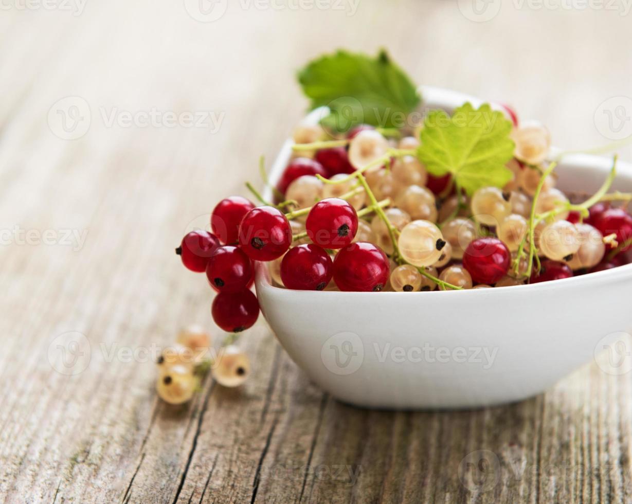 Red currants in a bowl photo