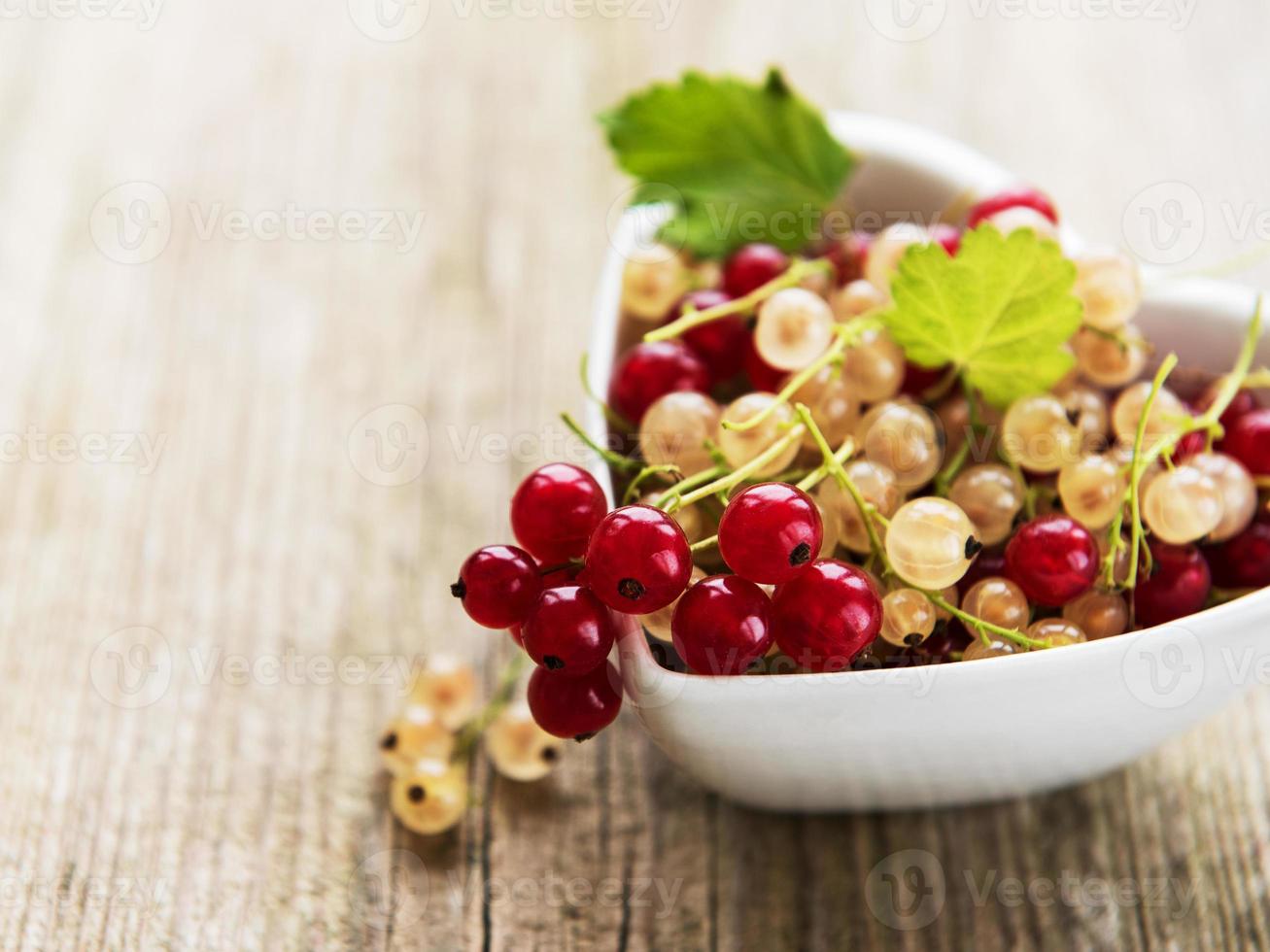 Red currants in a bowl photo