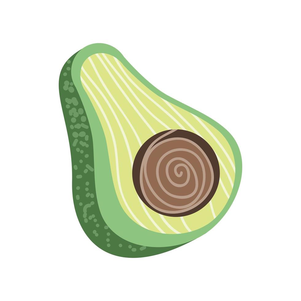 avocado fresh icon vector