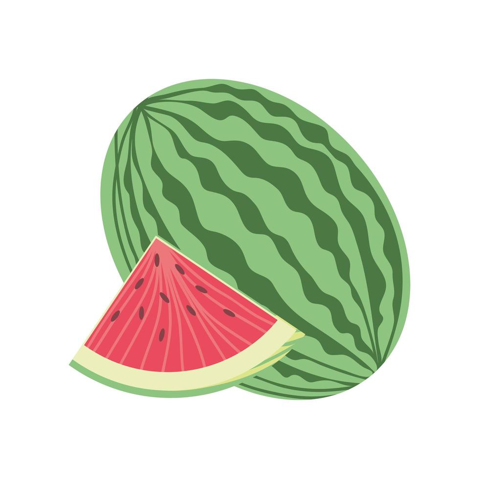 watermelon fresh icon vector