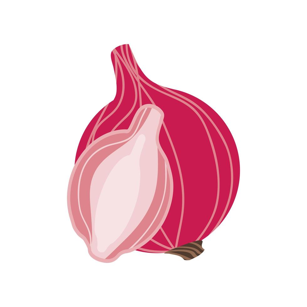 icono de cebolla roja fresca vector