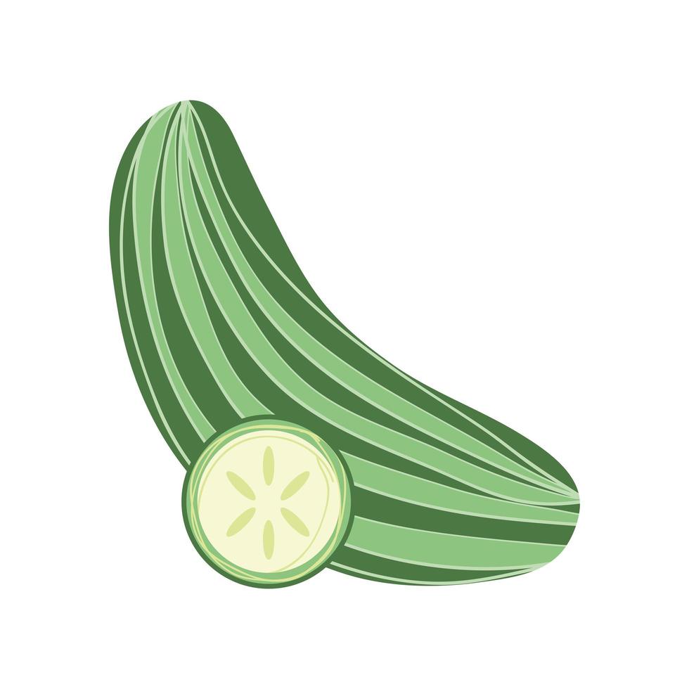 cucumber fresh icon vector