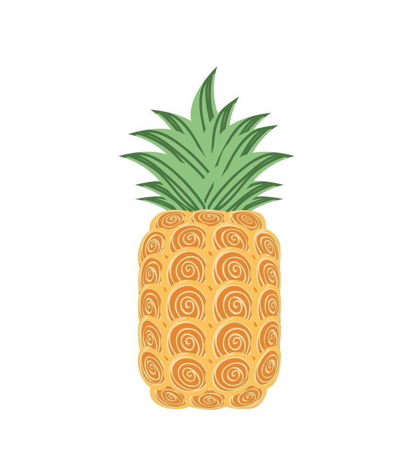 pineapple fresh icon vector