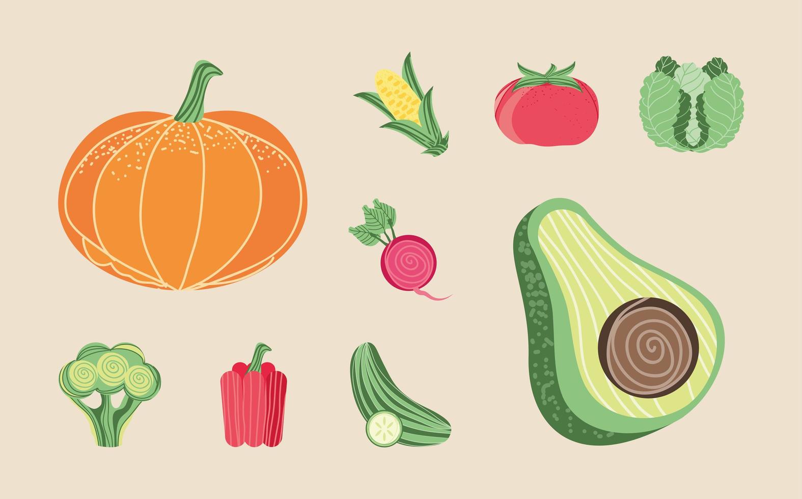 set of vegetables vector