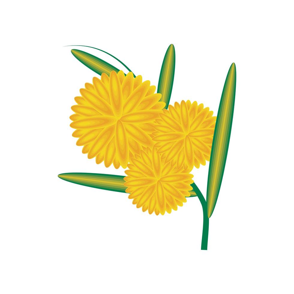 yellow flowers and leaf vector