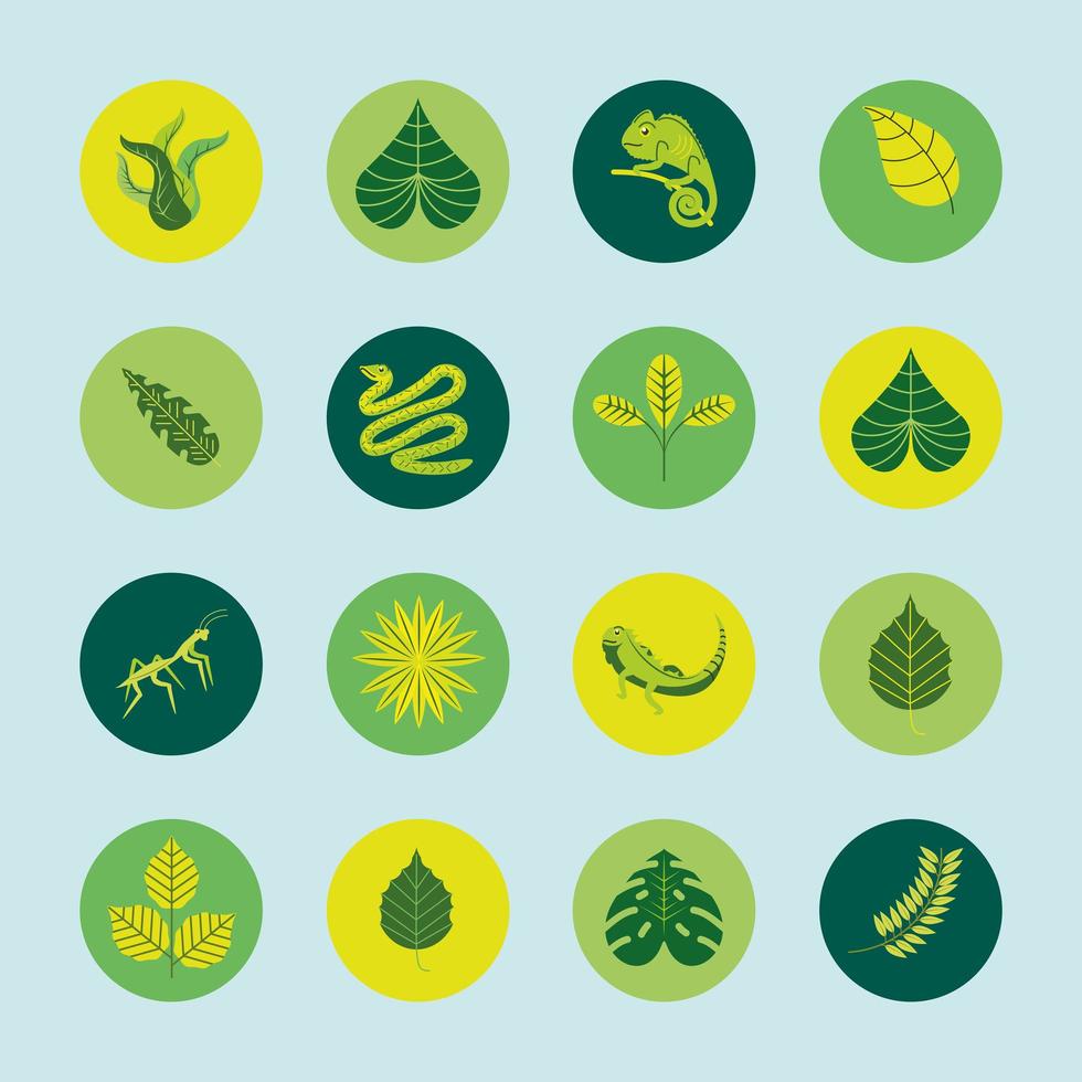 green leaves icons vector