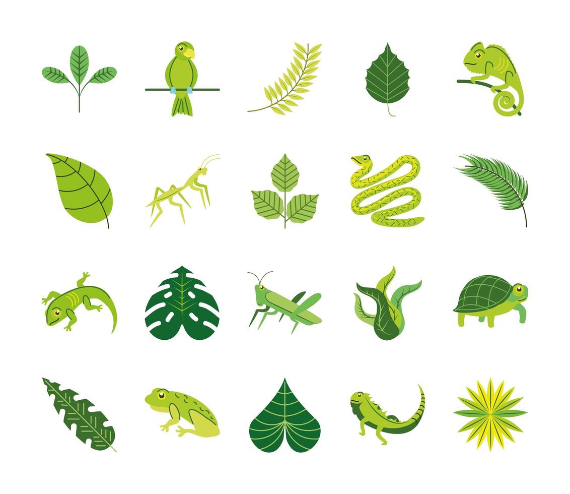 hoja verde y animales vector