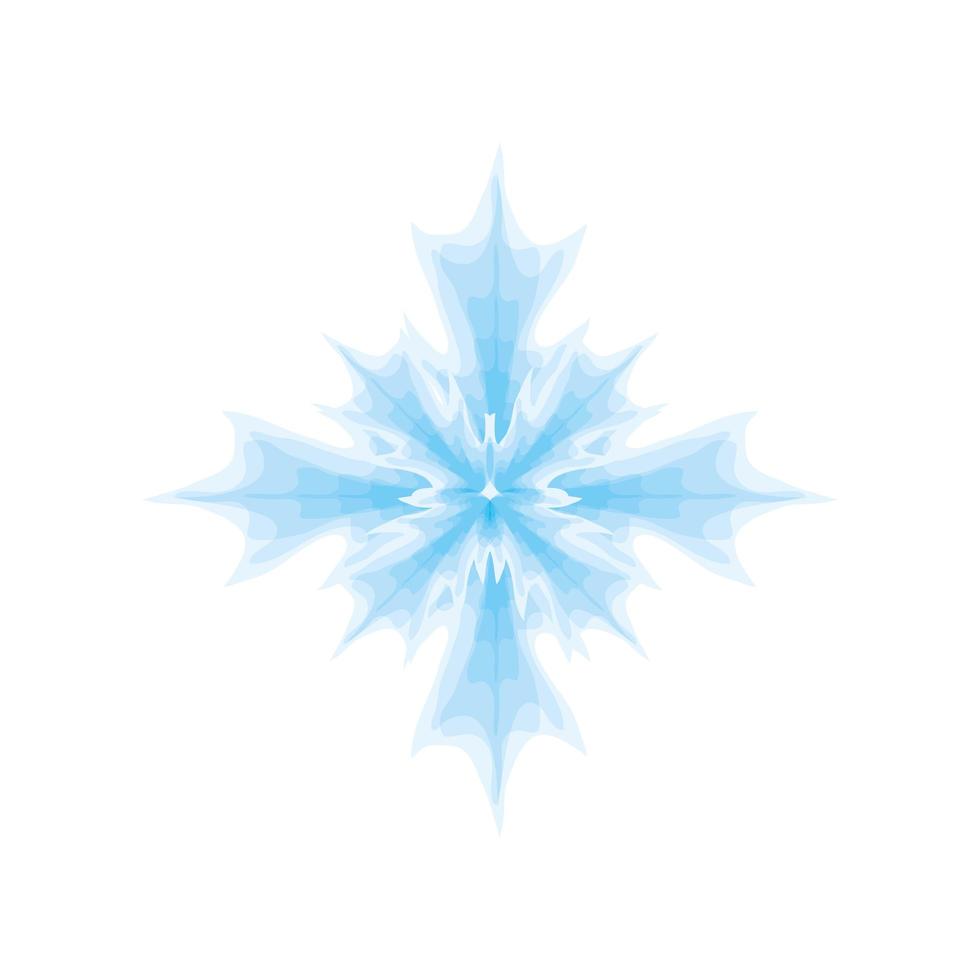 snowflake snow winter vector