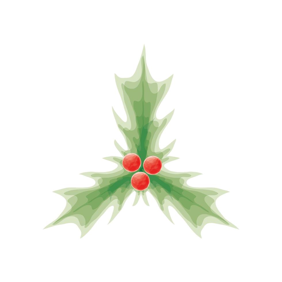 christmas holly berry vector