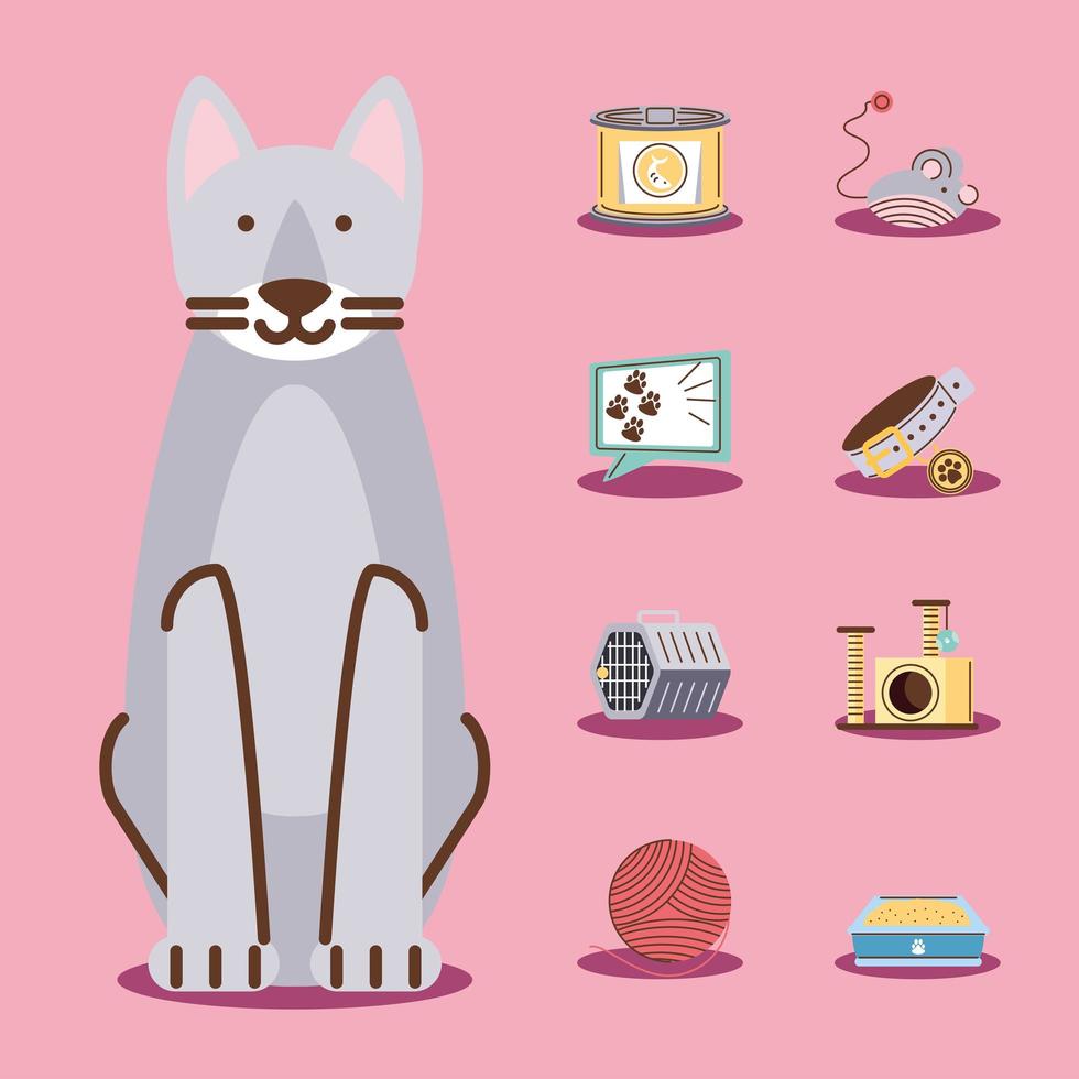 iconos de mascotas gato vector
