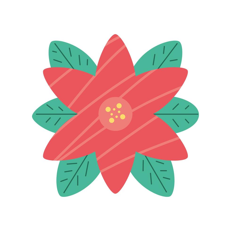 flower poinsettia decoration vector