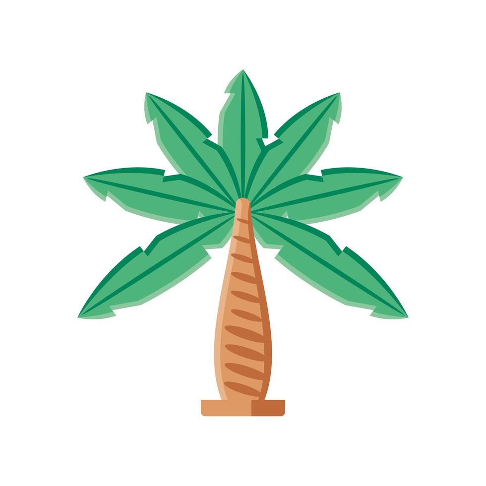 tropical palm tree vector