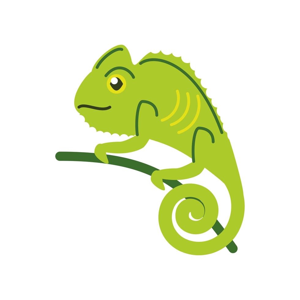 chameleon green animal vector