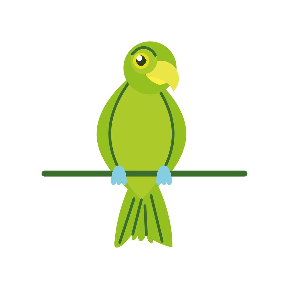 parrot in stick vector