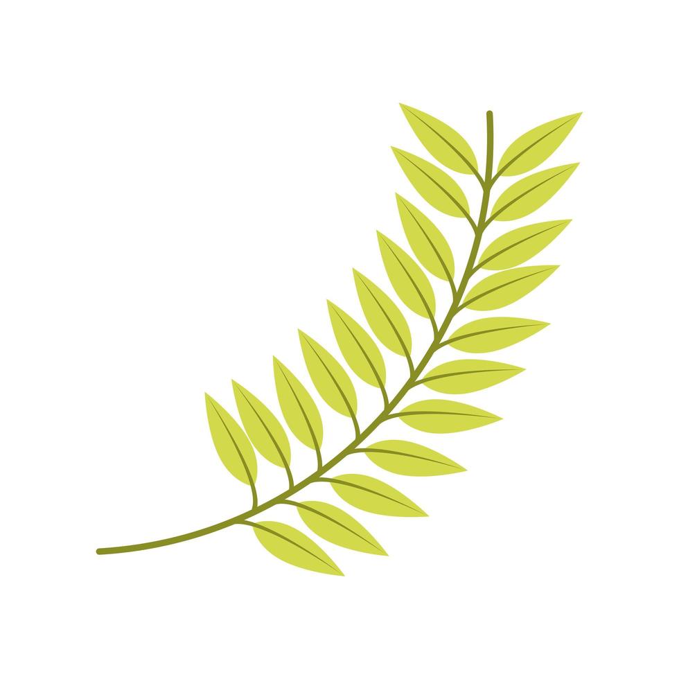 green branch leaves vector