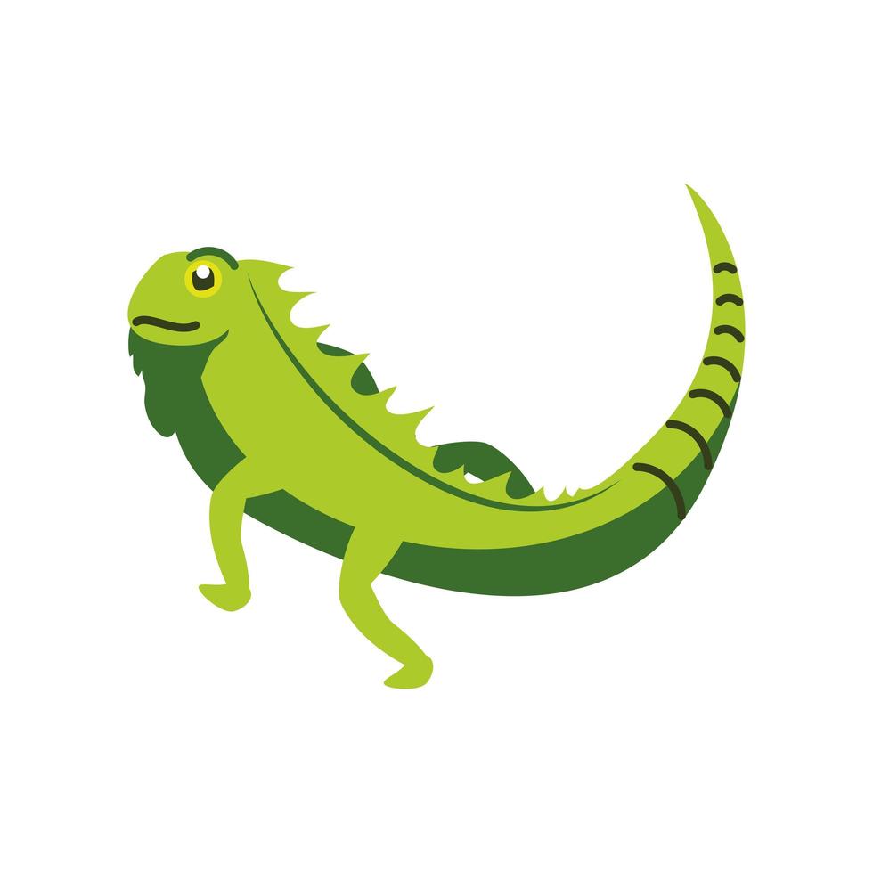 wild green iguana vector