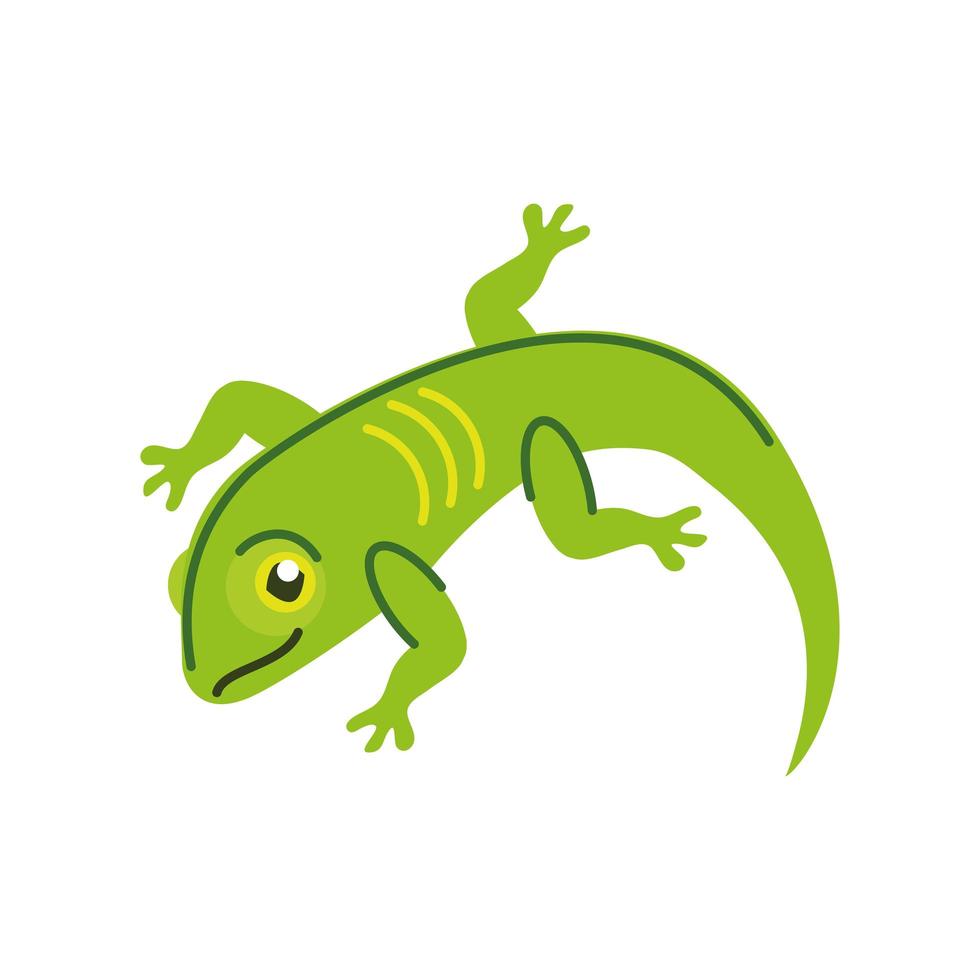 green lizard icon vector